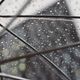 Illustration for article titled Yet Another Weather App Accused of Collecting Too Much User Data